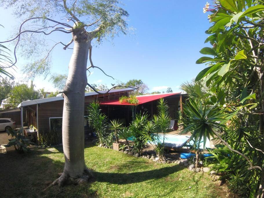 Ti Koin Trankil Belle & Spacieuse Villa Tropicale 圣皮埃尔 外观 照片