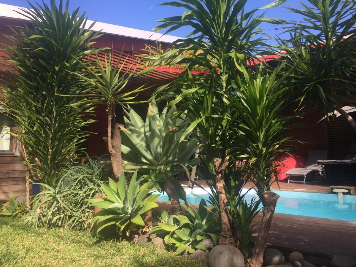 Ti Koin Trankil Belle & Spacieuse Villa Tropicale 圣皮埃尔 外观 照片